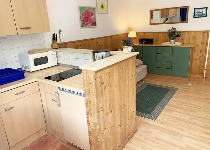 アパート Alpine Dream Superior 1 Bedroom カプルーン